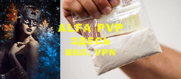 a pvp Пересвет