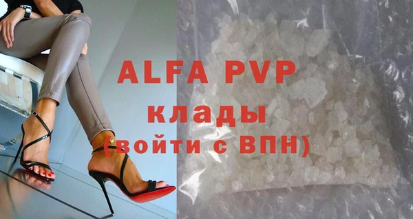 a pvp Пересвет