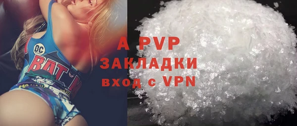 a pvp Пересвет