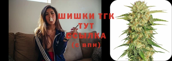 стаф Пестово