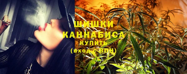 стаф Пестово