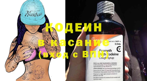 a pvp Пересвет