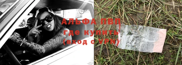 a pvp Пересвет