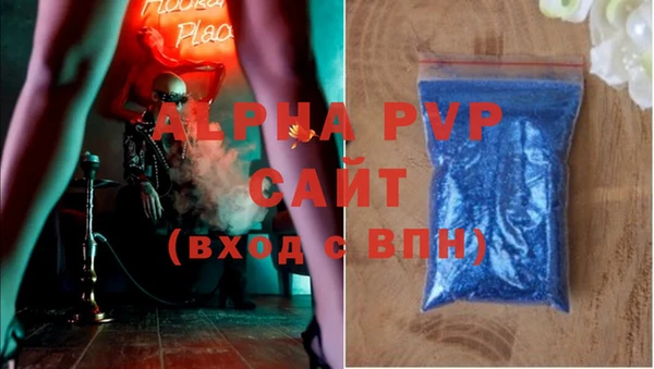 a pvp Пересвет