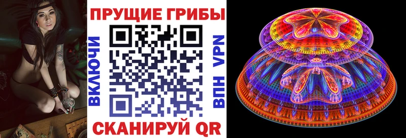 Псилоцибиновые грибы прущие грибы  закладка  mega маркетплейс  Бакал 
