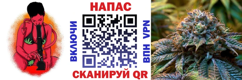 Бошки Шишки MAZAR  Бакал 